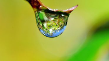 Água_Gota