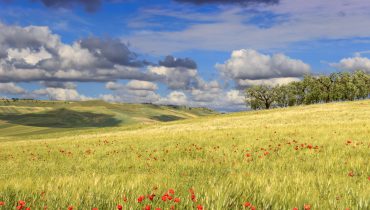 Alentejo_Depositphotos_96616880_L