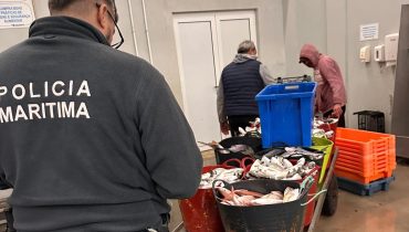 Apreende 575kg de pescado em Tavira