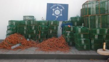 Apreensao pepinos e armadilhas_alterada