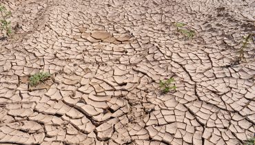 Aquecimento global - Seca