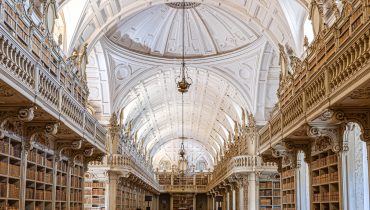 Arlindo Homem - Foto Premiada - Biblioteca do PN Mafra