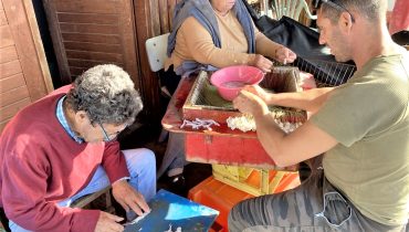 Atividade piscatória Alvor 1|Salva-vidas de Alvor|Atividade piscatória Alvor 3|Atividade piscatória Alvor 2