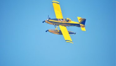 Aviões e helicópteros combatem o fogo em Silves_ER (11)