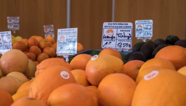 FEIRA_LARANJA_SILVES_7|Carmo Martins da COTHN e José Oliveira da AlgarOrange|José Oliveira AlgarOrange