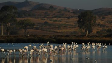 Baixo Guadiana