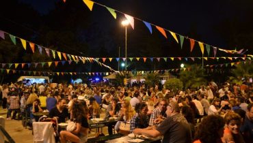 Beer Fest Martyna (59)|planta Alameda Beer Fest|alameda beer fest