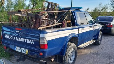 Bivalves e nove artes de pesca apreendidas em Olhão