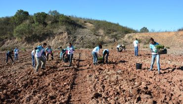 CMS_Montanha Verde (4)