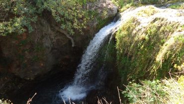 Cadoiço1