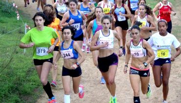 Campeonato Regional Corta Mato_1|Campeonato Regional Corta Mato_2