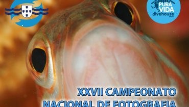 Campeonato fotografia subaquática 2017_1
