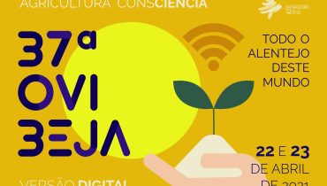 Cartaz Ovibeja Digital