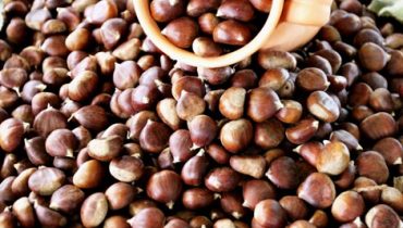 castanhas_1|castanhas_2