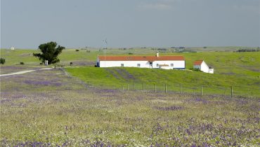 Centro de Educação Ambiental do Vale Gonçalinho_CEAVG_Castro Verde_LPN