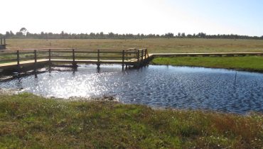 Charco temporário|convite