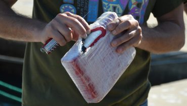 Cocaina apreendida_08