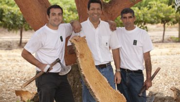 Corticeiros Portugueses na Austrália