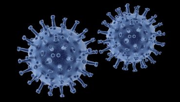 Covid 19 coronavirus20