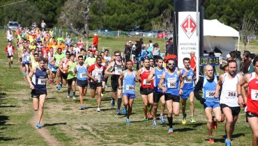 Cross das Amedoeiras