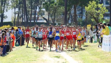 Cross das Amendoeiras_Seniores Masculinos (2)