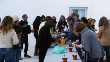 Curso_Hortas_Varanda