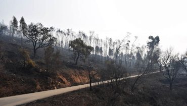 Incêndio Monchique_fornalha_gonçalo dourado