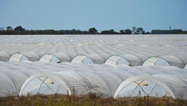 Estufas no PN Sudoeste Alentejano e Costa Vicentina_er
