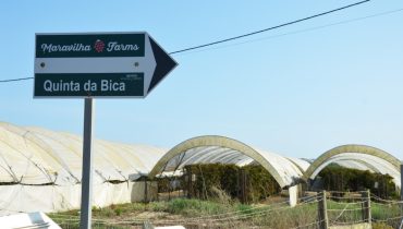 Estufas no PN Sudoeste Alentejano e Costa Vicentina_er