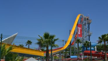 DSC_1163
