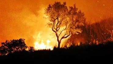 Incêndio em Monchique_ni|incendio em Silves