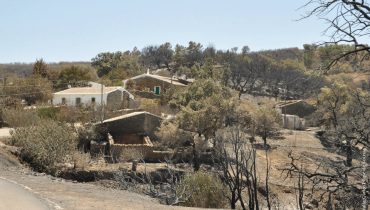 Desertificação da Serra do Caldeirão|Barro Cal em Santo Estêvão_13