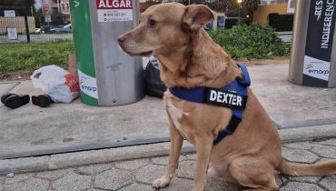 Dexter, Vice Presidente e responsável pelo Zero Desperdício