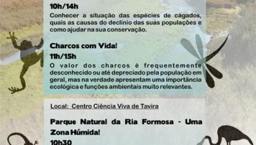 Dia_Mundial_Zonas_Humidas_cartaz_2013