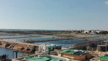 EPPO IPMA Olhão|Curso_EPPO_Aquacultura_Multitrofico|created by dji camera