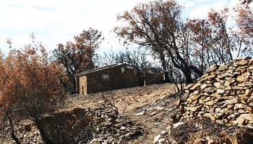 Efeitos do Incêndio na Serra do Caldeirão