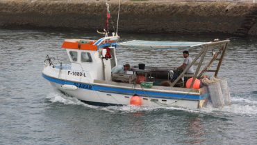Embarcação de pesca com arte da ganchorra de Olhão|Diapositivo 1