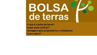 Encontros Freguesia 2014