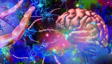 Nervous system neurology and brain nerve cells anatomy concept as human neuron function disorder symbol for multiple sclerosis or alzheimer disease or psychedelics science and with 3D illustration elements.