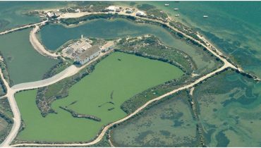 Estação experimental do Ramalhete (Ria Formosa – Faro)|Edificio onde funciona o CCMAR na Universidade do Algarve