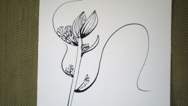 Exposição Aline Nève