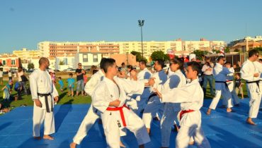 Faro ativo (11)