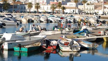 Faro8