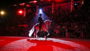 Fatacil_Equestre_cavalos_hipismo_1|Fatacil_Equestre_cavalos_hipismo_2|Fatacil_Equestre_cavalos_hipismo_3