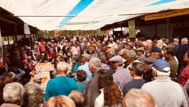 Feira Garvão 2018