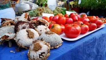 Feira da Dieta Mediterrânica 2017_12