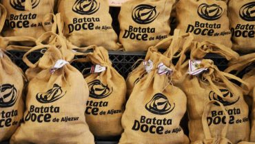 Batata-doce de Aljezur, certificada, à venda
