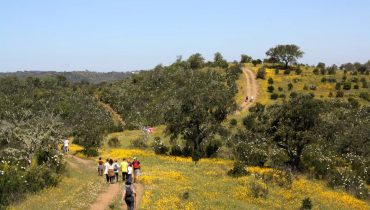 Festival Caminhadas Ameixial 2016_29
