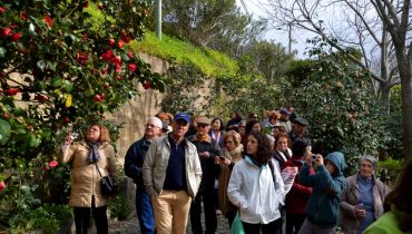 Visita à quinta do Senhor António Silva