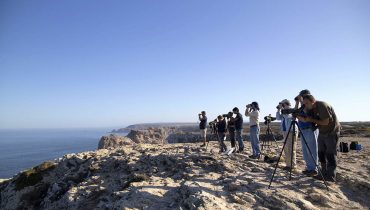 Festival de Observação de Aves de Sagres|Festival de Observação de Aves de Sagres_Carla Salvador_CMVB_toutinegra-de_barrete|Festival de Observação de Aves de Sagres_cabo_sao_vicente_CMVB|Festival de Observação de Aves de Sagres_atividades_joana_domingues (43)|Festival de Observação de Aves de Sagres_Carla Salvador_CMVB